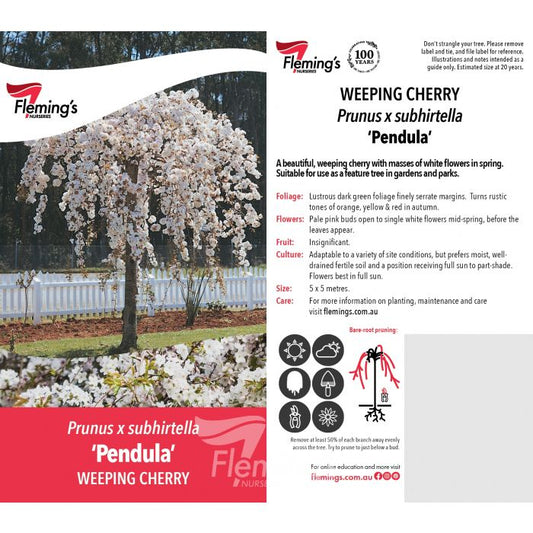Pendula White 50lt