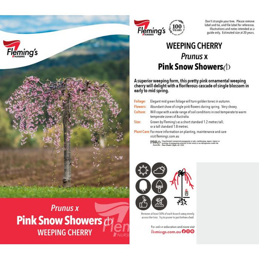 Prunus Pink Snow Showers 50lt