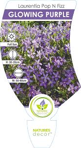 Laurentia Pop N Fizz Glowing Purple 140mm