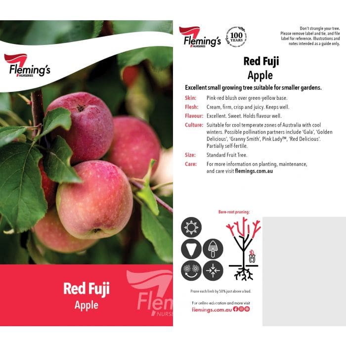 Red Fuji bare root