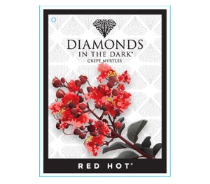 Diamonds In The Dark Red Hot 8lt