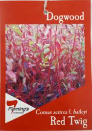 Red Twig 30lt