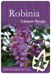 Robinia Casque Rouge 50lt