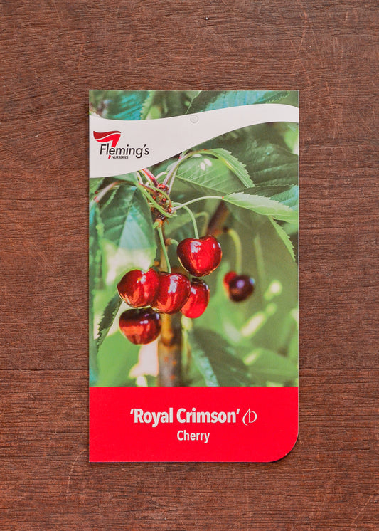 Cherry Royal Crimson 30lt