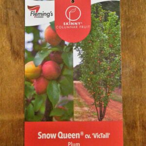 Snow Queen Skinny Plum bare root