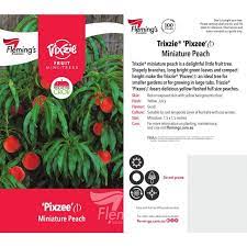 Peach Trixzie Miniature 18lt