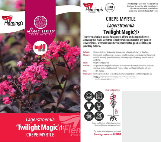 Lagerstroemia Twilight Magic 18lt