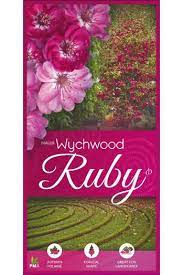 Malus Wychwood Ruby bare root