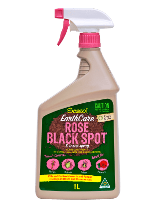 Rose Black Spot Spray (Seasol) 750ml