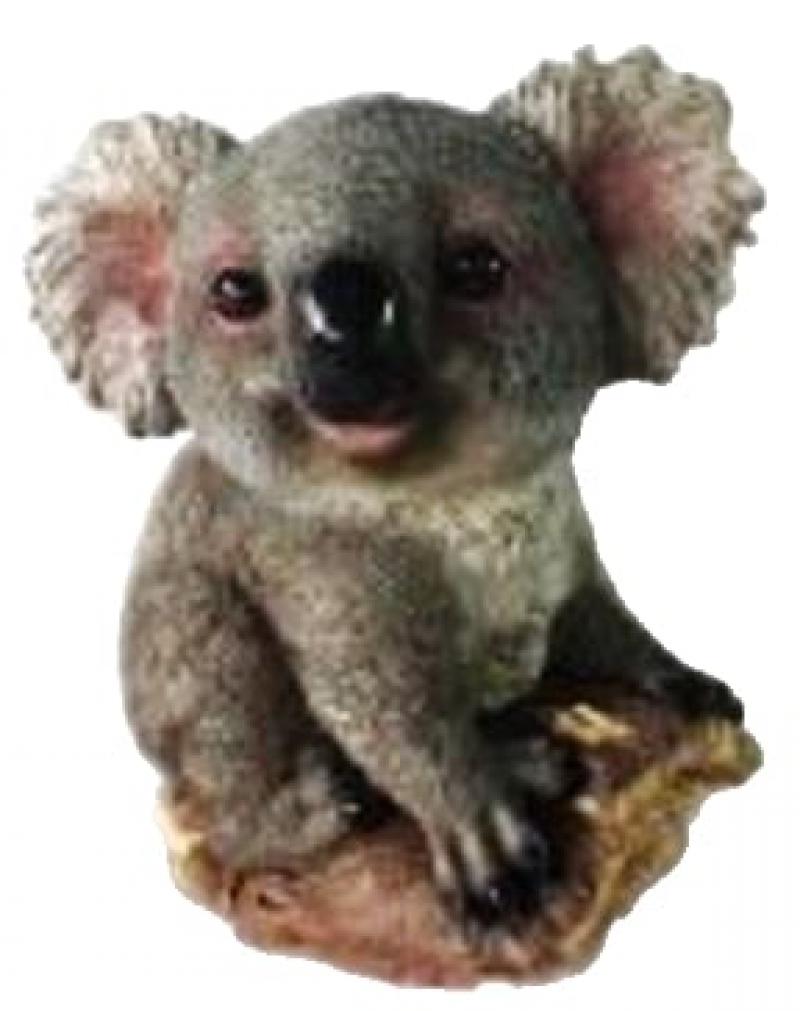 Koala on a Tree