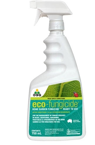 Eco Fungicide 750ml