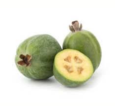 Feijoa Duffy - Graft - 8lt